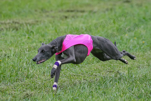Prelim Open E4, Sassy Sneakers-5067