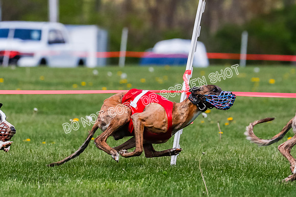 NOTRA Program 2, Race 8, Stoke Nami Nika Eddie-2-8