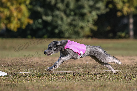 Ellie-4495