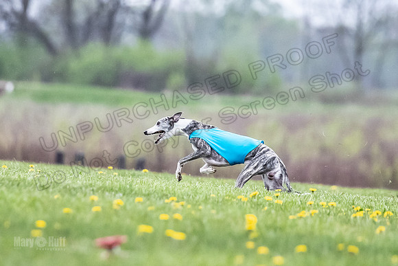 Finals Fch A1 Whisper Treble JesseJames-9085