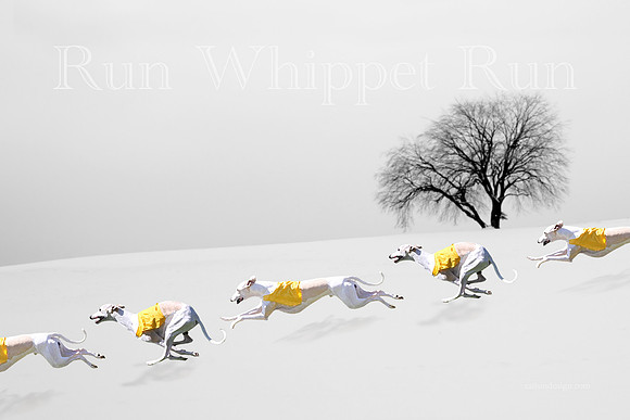 Art Winter Run Whippet