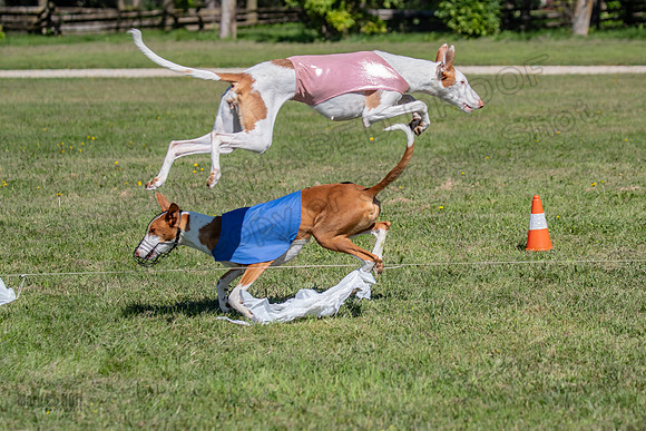 Prelims Fch 1 Ginny Willow Madyson-5495