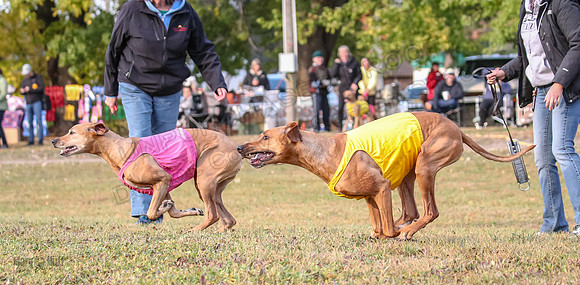 1 Prelims Vet Libby Xena-0394