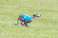 Prelim Specials A1, Booster Leo KinkyBoots-9611