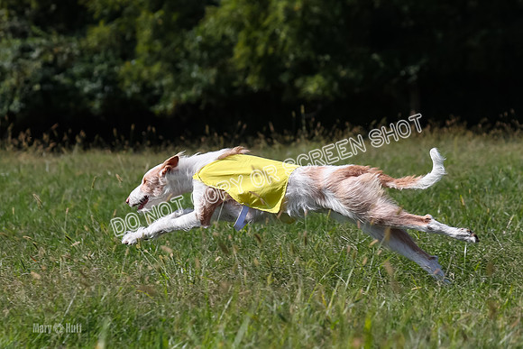 Open Prelim B3, Tavia, Birdie-7960