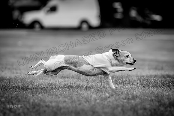 Prelims Rocketgirl-1130-2