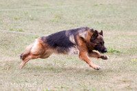 IMG_9166