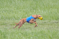 1 Prelims Open 1, LA Twister Greta-8185