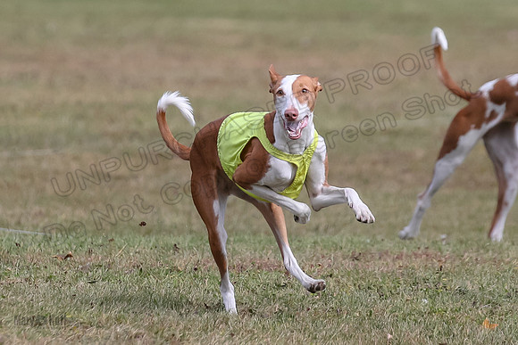 Finals Fch 1 Beastie Jadis Ginny-7906
