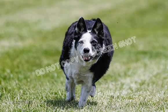 _E4I5160
