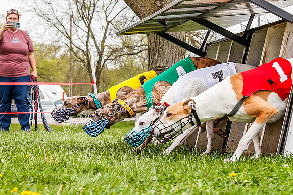 WRA, Prg 3, Race 2, Dash, Buzzsaw Elvis Mika Moonstruck-9126