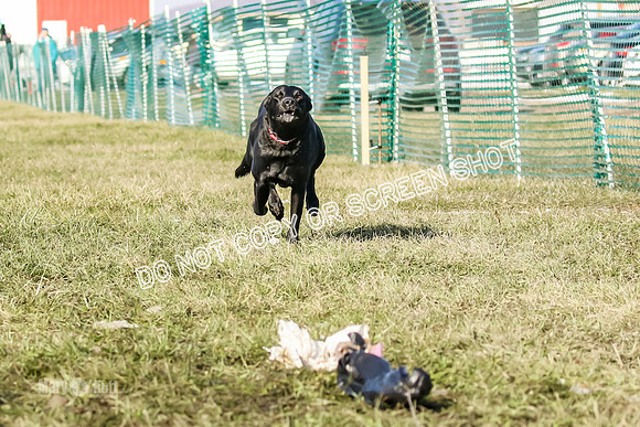 MCH74073