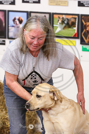 MCH54952
