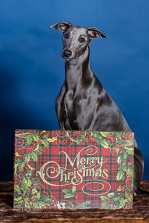 xmas Kristy-450-Edit