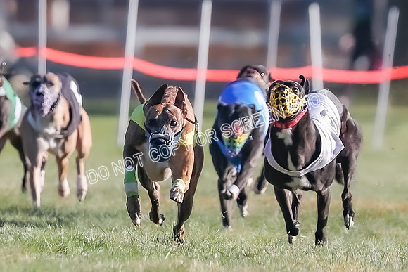 Prg 1, Race 14, Grim Zivah Beacon Cherry Pie Siggy Riggs-9208