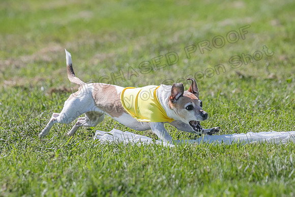 Rocki Girl-9159