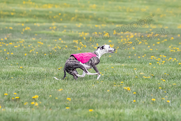 1 Prelim FCh A2 Keegan Really Rush-6672
