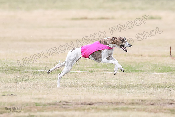 1Prelim Open 3 Eggsy Trixie Treble-3044