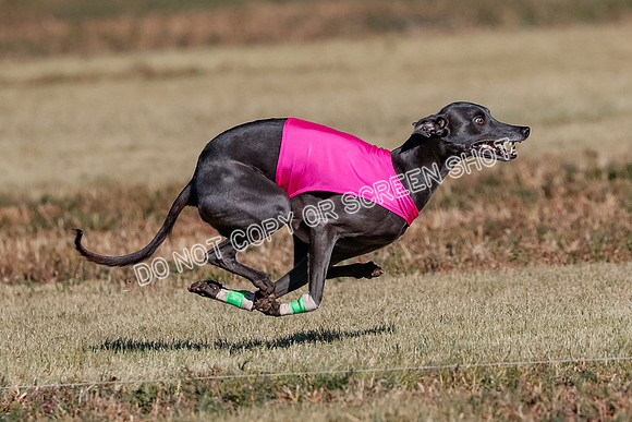 Open, Prelim, Luke-Flint-Lancer-4432