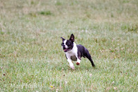 IMG_0286