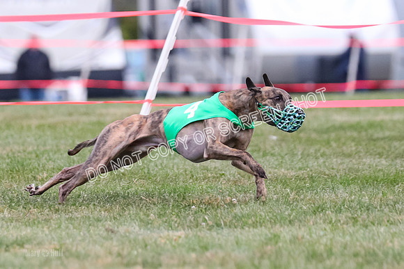 Prg 1, Race 17, Savvy Dragon Lilly Snacks-0997