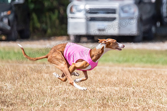 Finals Specials B2 Willow Katy Penny-1449