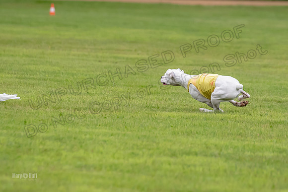 Prelims Nilla-0887