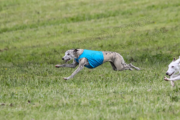 Prelim Veterans 3, Hattie Marley Jewel-0144