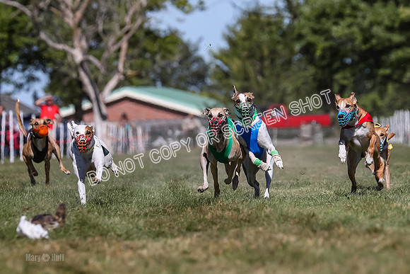 Prg 4, Race 7, Seavey Gnocchi Lilly Zeus Griffey Sparks-0265