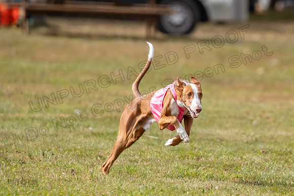 Finals Open 1 Jagger Maverick-3005