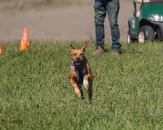 2 Finals Open 1 Rein Pepper Ash-7382