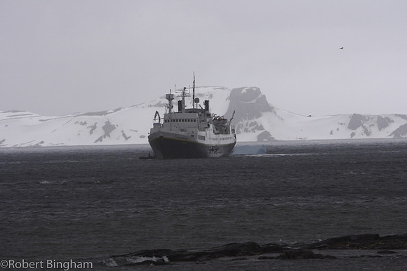 © Robert Bingham_070