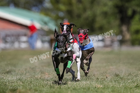 Prg 4, Race 3, Dazzle Margot Cherry Pie Clyps Tahoe-0136