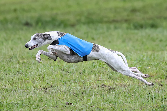 AE4I9314-Edit