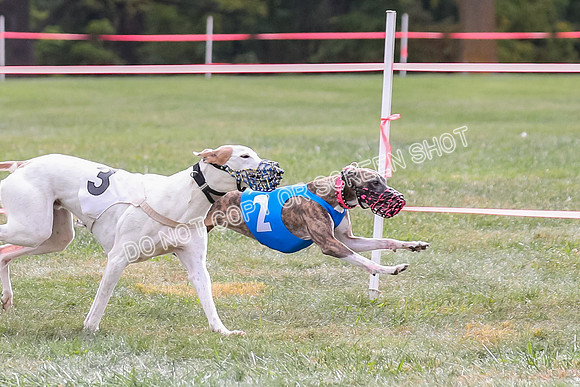 Prg 2, Race 1, Clyps Warrior Floyd Carney-1273