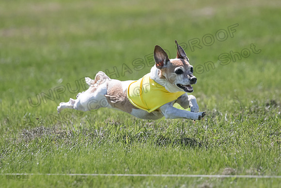 Rocki Girl-9149