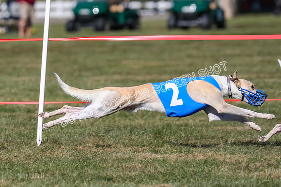 Prg 4, Race 12, Snacks Coty Ryka Stone-2750
