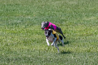 Prelim, Chuck Pearl Quinn-2469