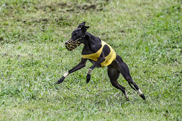 Prelim Open E1, Sid Emoji Bumble-4762