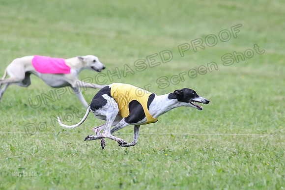 Prelim Open B3, Tusi Dany Tails-8455