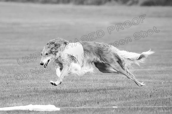 Open Prelim 2, Masquerade Freebie-0535-2