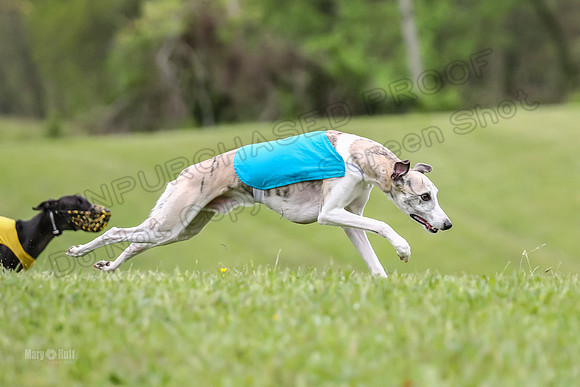 Prelim Open E1, Sid Emoji Bumble-4720
