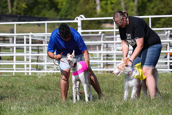 Open Prelim B3, Tavia, Birdie-7917