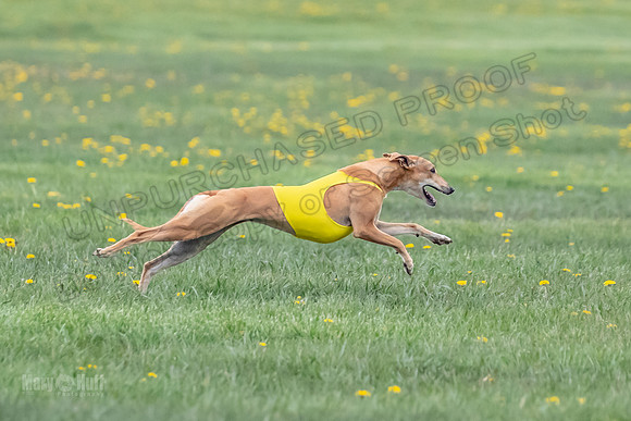 1 Prelim Open E3 EllieMae Misty-6614
