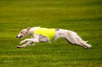 Prelim Open Silken-0410