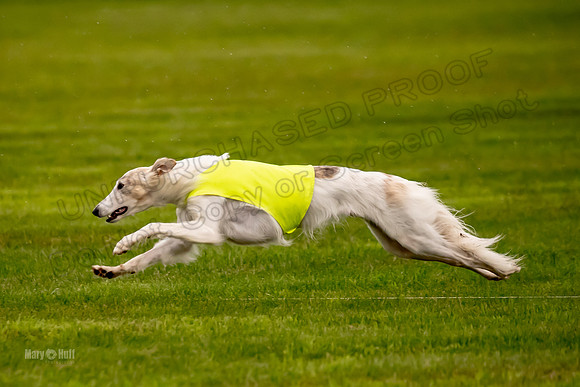 Prelim Open Silken-0410