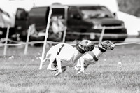 NOTRA Program 3, Race 2, Victor Flair Cinder Piper-K-2-2