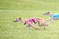 Prelim Specials A2, Laina Mantle Sassy-9632