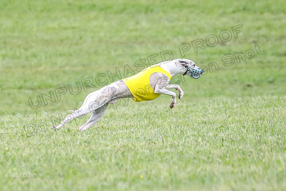 Prelim Open F2, Trippit Sid Fva-9297