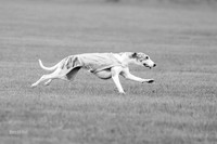 Prelims Misty-0626-2